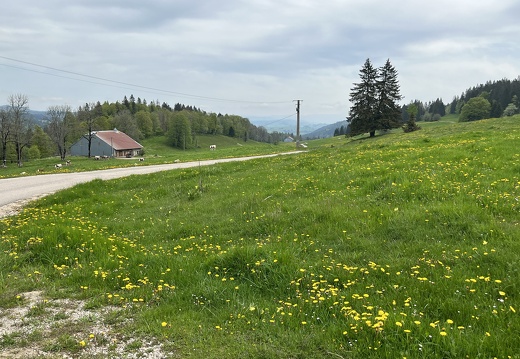 23-05-21 10-50-24 5511